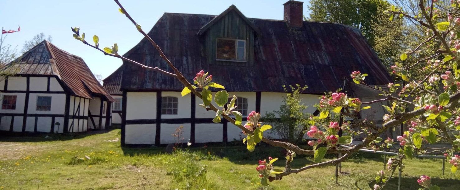 346155980_3847684002124846_3429255244402124517_n