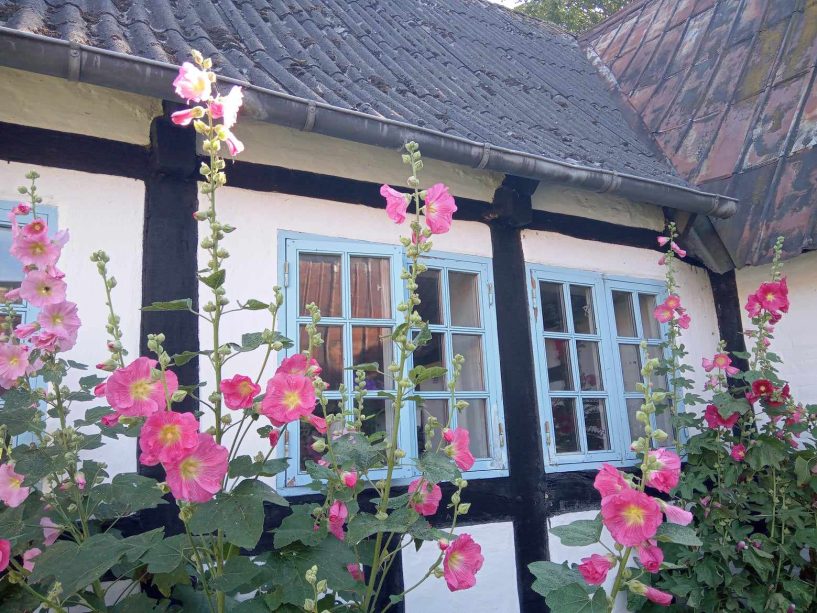 364393648_1925103121198493_4555600245657112467_n